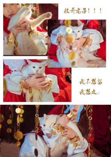 【剑网三COS】————雪河喵萝——