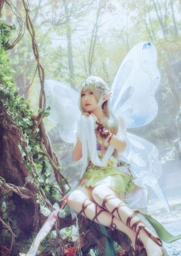 南小鸟-花妖觉醒