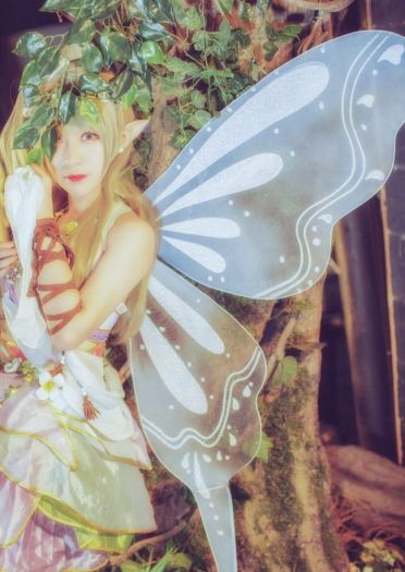 南小鸟-花妖觉醒