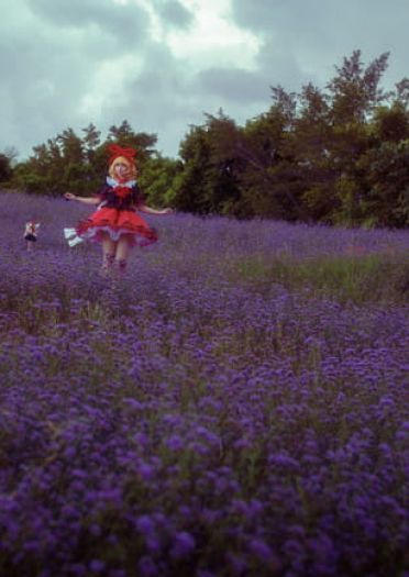 小さなスイートポイズン