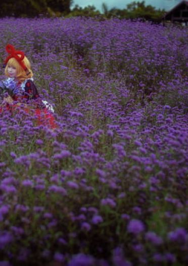小さなスイートポイズン