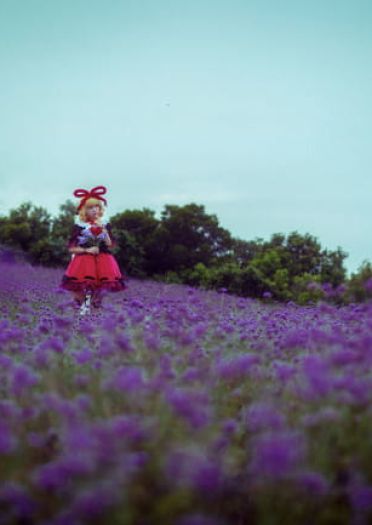 小さなスイートポイズン