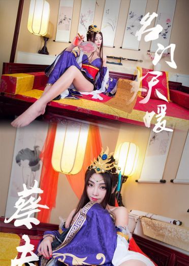 三国杀-蔡夫人皮肤