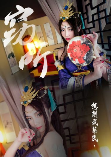 三国杀-蔡夫人皮肤