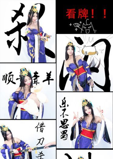 三国杀-蔡夫人皮肤