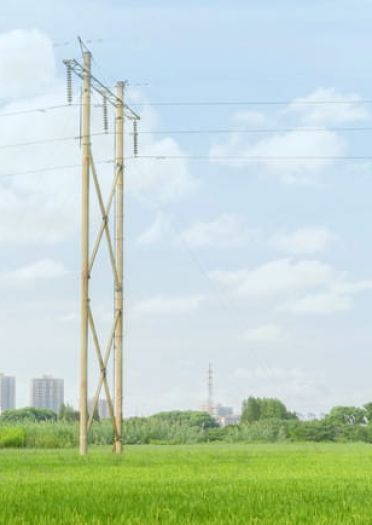 粗点心战争 枝垂萤 COS