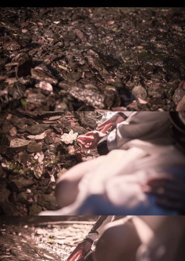 【未曾忘蒙昧时授我出世方】纯阳·破军