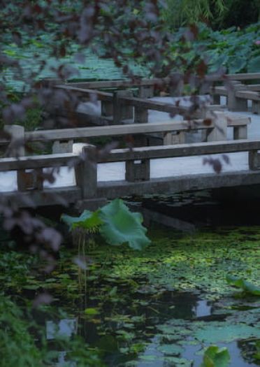 少年锦衣卫-九公主