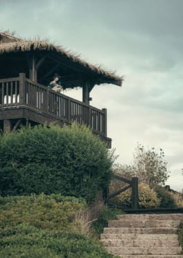 一只小丐妹的明月天涯