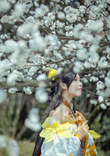 【古剑奇谭】风晴雪暖