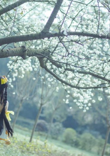 【古剑奇谭】风晴雪暖