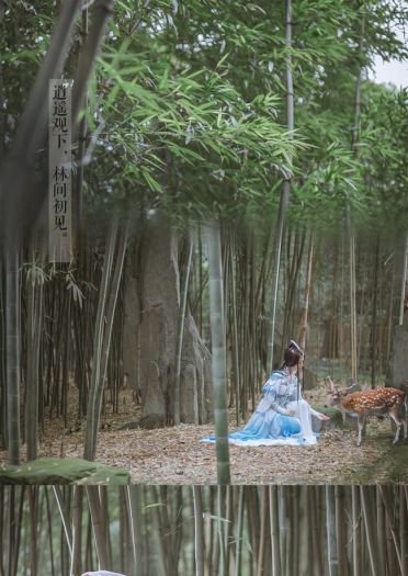 【新倩女幽魂】生不同衾，唯死如愿