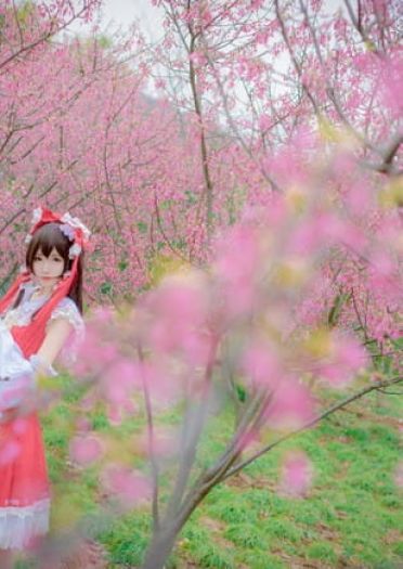 东方Project 博丽灵梦 cosplay(1)