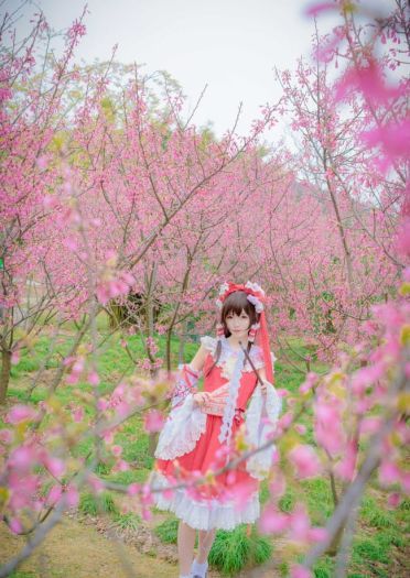 东方Project 博丽灵梦 cosplay(1)