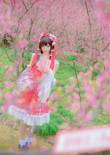 东方Project 博丽灵梦 cosplay(1)