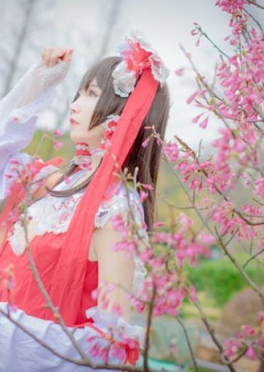 东方Project 博丽灵梦 cosplay(1)