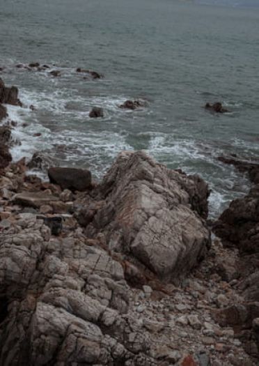 海贼王 ONE PIECE 达斯琪cosplay