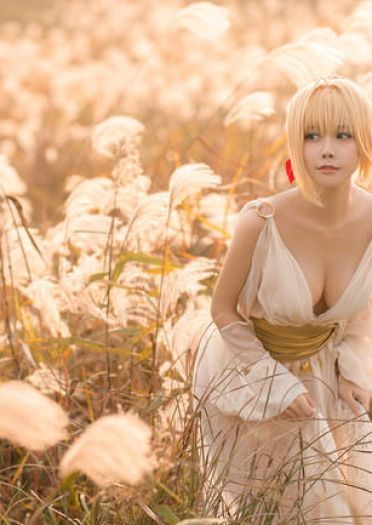 fgo 尼禄本里最后一套 cosplay图片