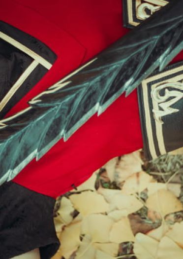 血海苍凉刀光凝，浪子唱罢鹰长鸣。cosplay