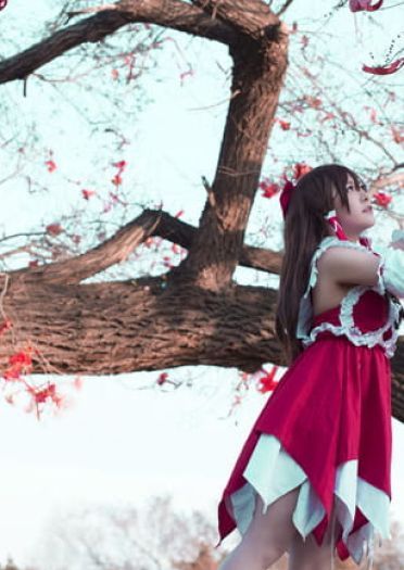 东方project 博丽灵梦cosplay