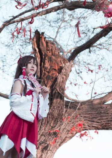 东方project 博丽灵梦cosplay