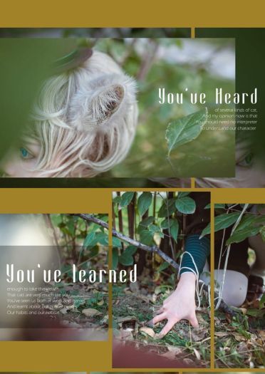 猫娘Lolita 圣诞主题写真图片(1)