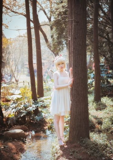 Fate/stay.night saber