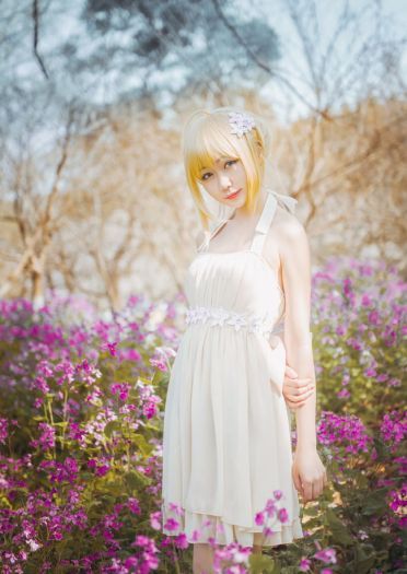 Fate/stay.night saber