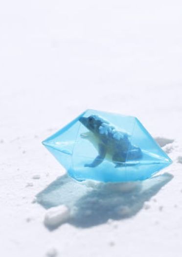 东方Project 琪露诺 cosplay图片