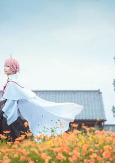 活击/刀剑乱舞 | 审神者