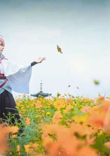 活击/刀剑乱舞 | 审神者