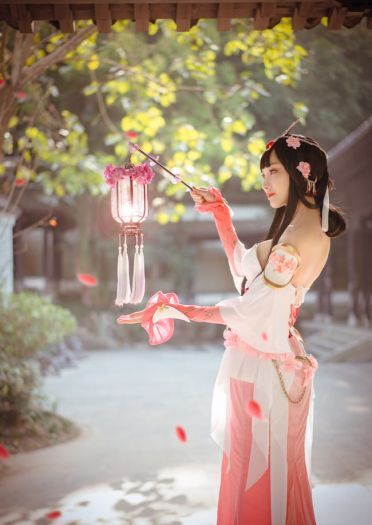 王者荣耀 甄姬 游园惊梦cosplay图片(1)