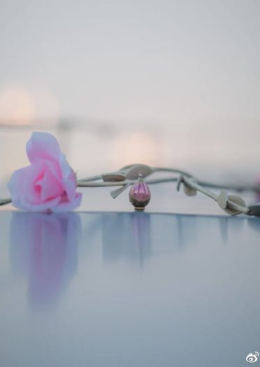 魔法少女小圆 魔法和奇迹都是存在的 鹿目圆香 cosplay