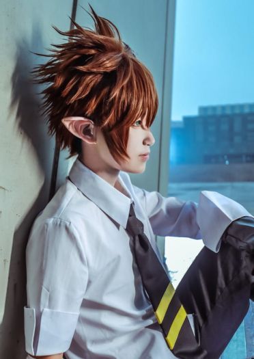 凹凸世界 雷狮x安迷修 cosplay