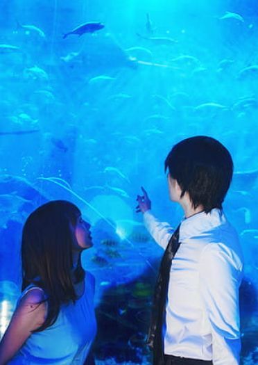 恋与制作人 许墨x女主！ cosplay