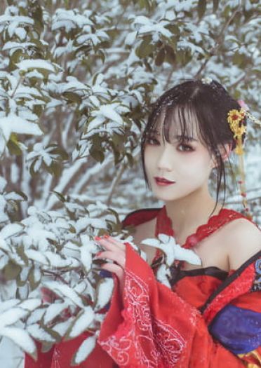 梅须逊雪三分白