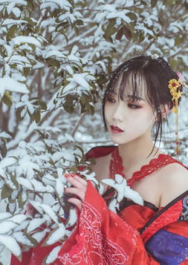 梅须逊雪三分白