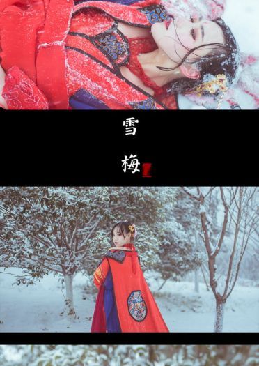 梅须逊雪三分白