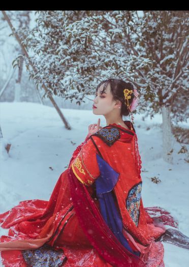 梅须逊雪三分白