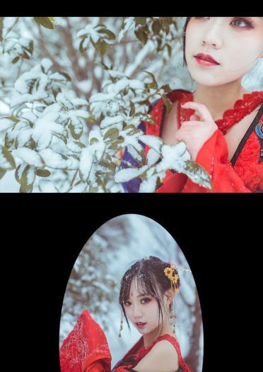 梅须逊雪三分白