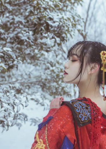 梅须逊雪三分白