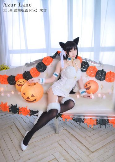 碧蓝航线 犬 万圣节 cosplay