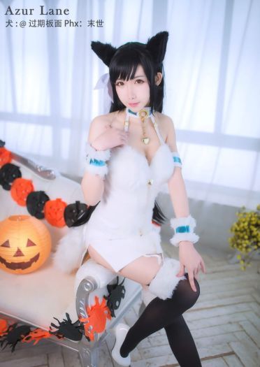 碧蓝航线 犬 万圣节 cosplay