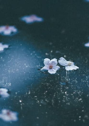 古风 遥远时空中 舞一夜 cosplay