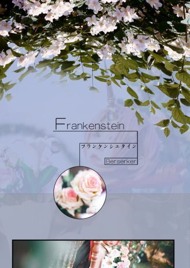 Fate/Apocrypha 弗兰肯斯坦 cosplay