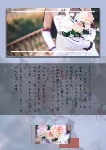 Fate/Apocrypha 弗兰肯斯坦 cosplay