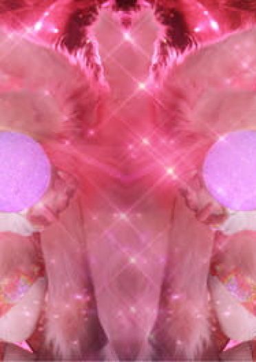 英雄联盟 阿狸 星之守护者 九尾妖狐阿狸 cosplay