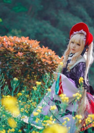 【蔷薇少女】第五人偶 真红