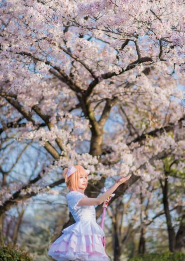 魔卡少女樱 木之本樱 cosplay图片(1)