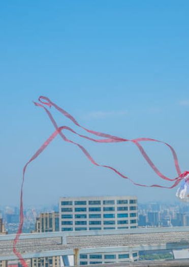 魔法少女小圆 鹿目圆香cos